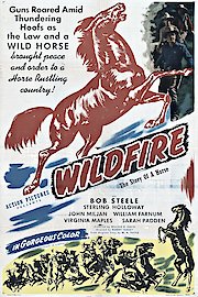 Wildfire poster