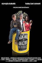 The Misadventures of the Dunderheads poster