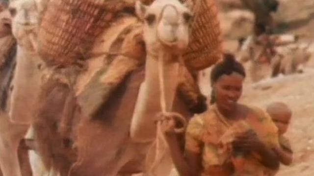 Watch Journey for Survival Online