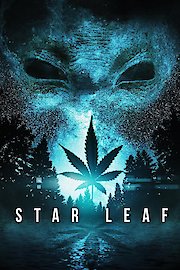 Star Leaf