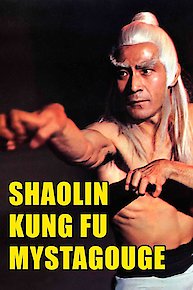 Shaolin Kung Fu Mystagogue