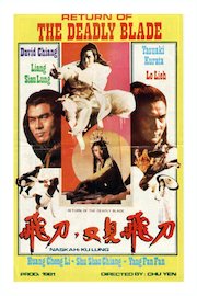 Shaolin Fighters Vs. Ninja poster