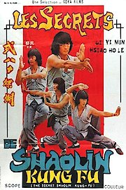 Secret Shaolin Kung Fu poster