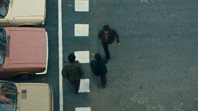 Watch Orderly or Disorderly Online