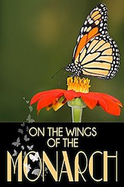 On The Wings of the Monarch poster