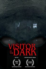 Visitor in the Dark