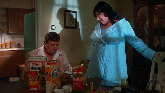 Watch Polyester Online