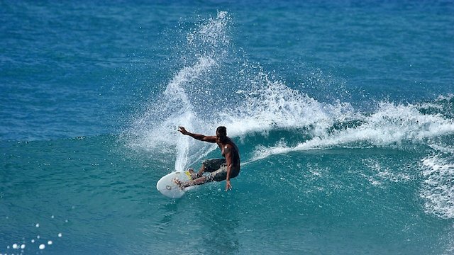 Watch Cutback Online