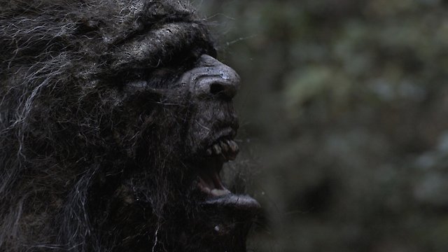 Watch Stomping Ground Online