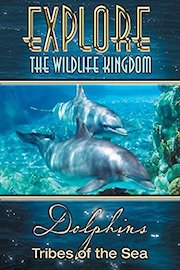 Explore The Wildlife Kingdom: Dolphins - Tribes of The Sea poster