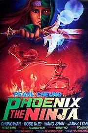 Phoenix The Ninja poster