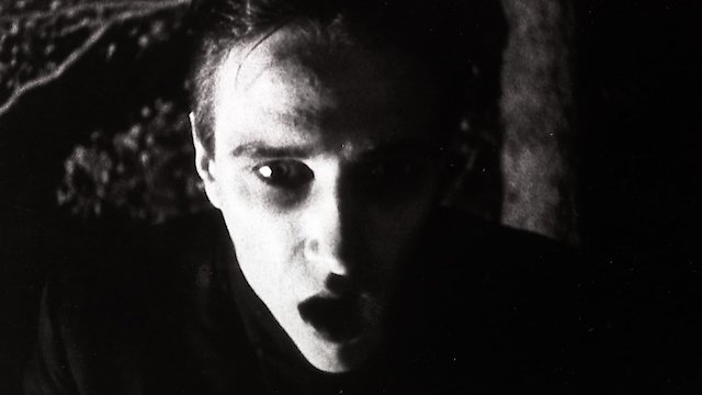 Watch Strasek, der Vampir Online