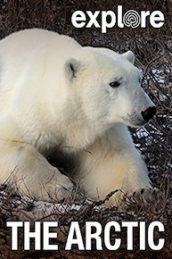 Explore: The Arctic