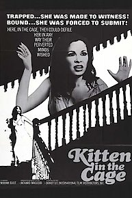 Kitten in the Cage
