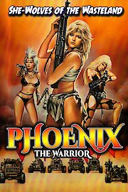 Phoenix: The Warrior poster