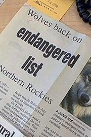 Green Careers: Environmental Justice