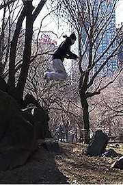 Once is Never: Parkour Generations in NYC