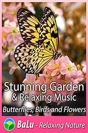 Stunning Garden & Relaxing Music - Butterflies, Birds and Flowers - BaLu Relaxing Nature