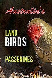 Australia's Land Birds: Passerines