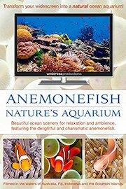 Anemonefish: Nature's Aquarium poster