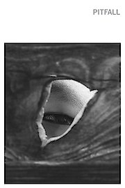 Pitfall poster