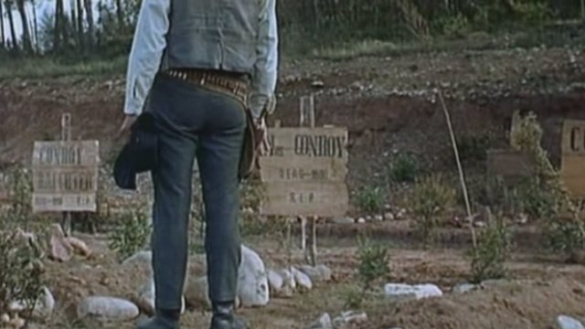 Watch Who Killed Johnny Ringo Online