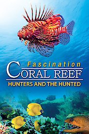 Fascination Coral Reef - Hunters & The Hunted