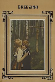 Brzezina poster