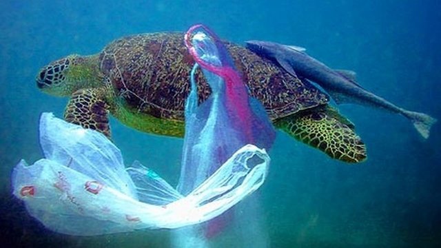 Watch Plastic: The Real Sea Monster Online
