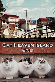 Cat Heaven Island