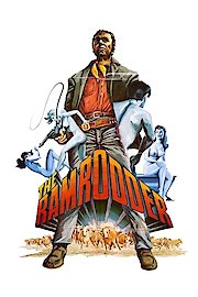 The Ramrodder poster