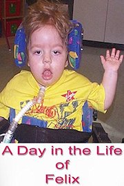A Day in the Life of Felix