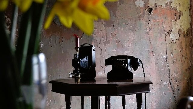 Watch The Telephone Online