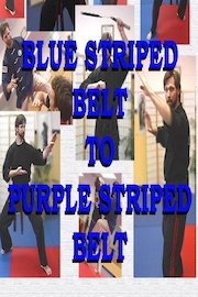 Blue Striped Belt to Purple Striped Belt poster
