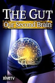 The Gut: Our Second Brain