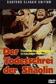 Mysterious Footworks Of Kung Fu poster