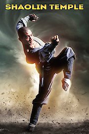 Shaolin Temple poster