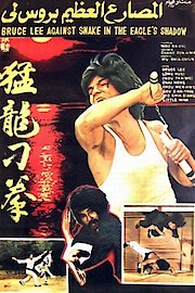 Bruce Against Snake In The Eagle's Shadow poster