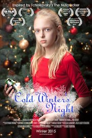 Cold Winter's Night