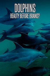 Dolphins: Beauty Before Brains?