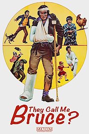 They Call Me Bruce? poster