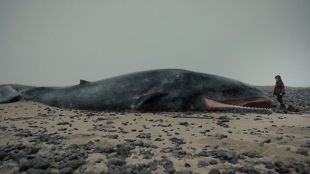 Watch Whale Valley Online
