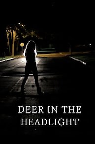 Deer In The Headlight