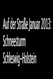 Auf der Straße Januar 2013: Schneesturm Schleswig-Holstein