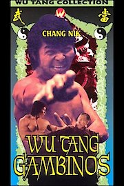 Last Challenge Of The Dragon poster