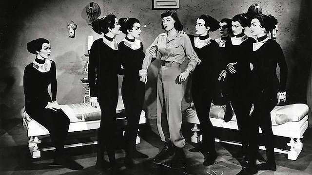 Watch Cat-Women of the Moon Online