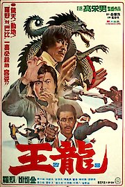 Deadly Kick poster