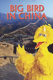 Big Bird in China poster