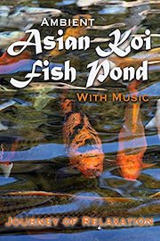 Ambient Asian Koi Pond - Journey of Relaxation poster