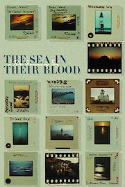 The Coastline poster